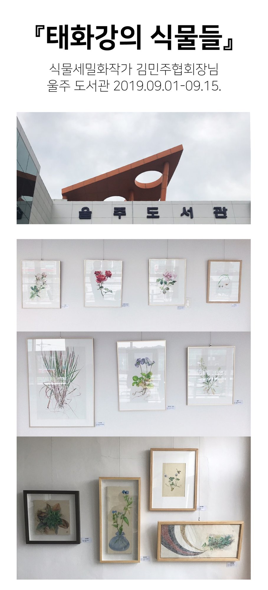 태화강의 식물들-01.jpg